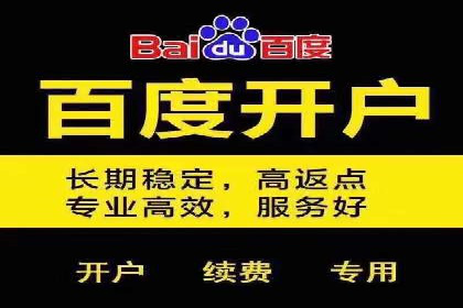 探索百度竞价代理的未来发展趋势与挑战